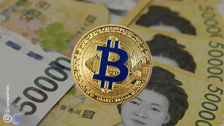 Last year, Korean crypto investors' bases skyrocketed by over 50%