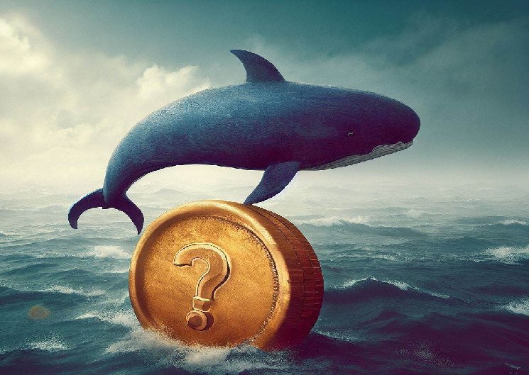 Mystery Giant Whale, which has been intentionally liquidated Ethereum with 50x leverage, closes its long position. This time, I'll be using another Altcoin