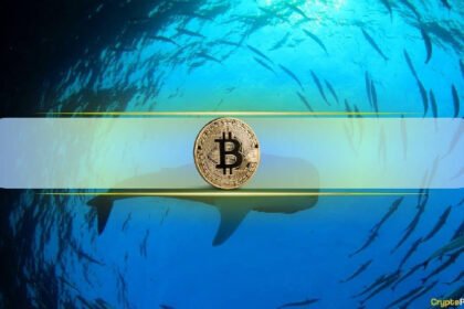 Bitcoin Jira buys dips and accumulates over 200k of BTC in a month