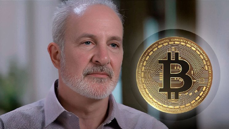 A long-term business model that can't buy bitcoin," says Peter Schiff.