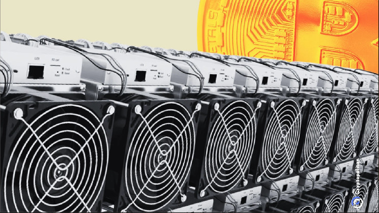 Bitcoin Miner Bitdeer is confident despite the disappointing fourth quarter results