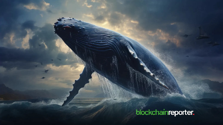 Whale withdraws $2.455 billion of Raidium and bounces from $2.3 million of bounce