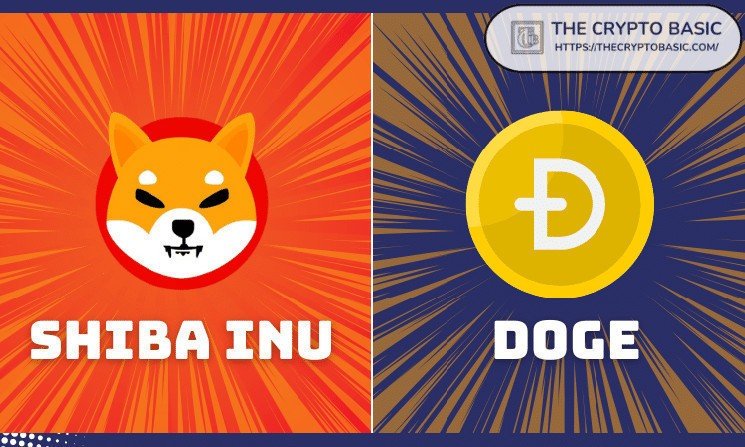 This is what top financial experts say to Shiva Inu to overtake Dogecoin