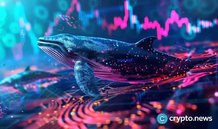 Ethereum whales buy more as Ethereum control drops to 8%