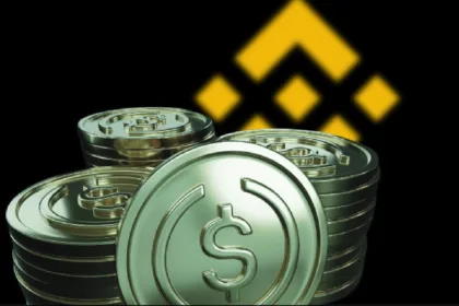 Binance draws in record-breaking influx of stubcoins