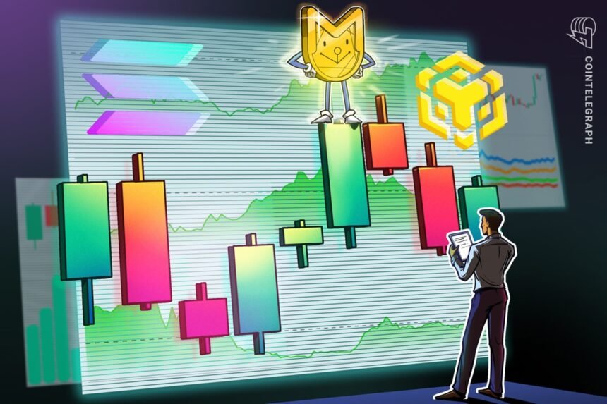 BNB Chain Catches Memecoin Wave as Solana wipes out