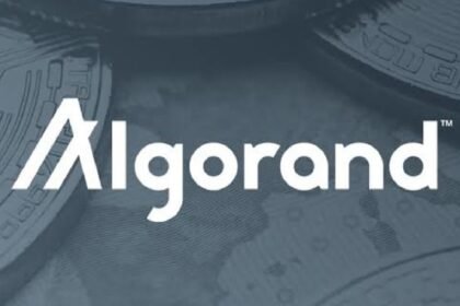 For leaders for the Algorand Foundation and The Core Launch "Build on Blockchain" series
