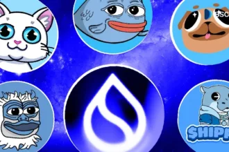Top 5 to watch SUI Memokine: 2025 Edition