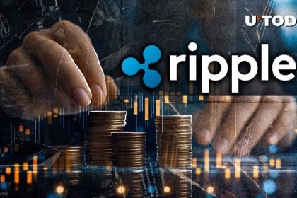 Members of Ripple's board say blockchain is unbundling banks