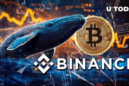 $170 million in Bitcoin has moved in Crypto Market Retreat