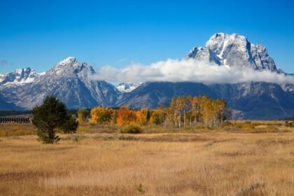 Wyoming TapInca Digital Protects First State Issued Stablecoin Before Release in July