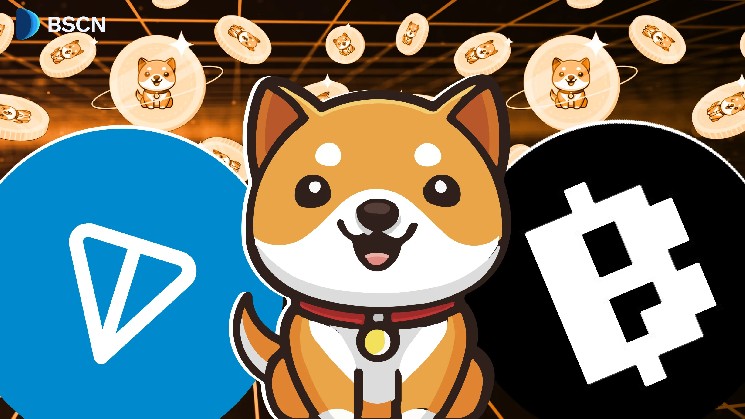 BabyDoge ignites tonne ecosystem with Blum launch