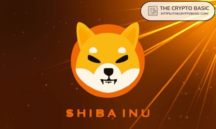Experts say people who learn about Sibainu will win because Shibu is a complex high-tech investment