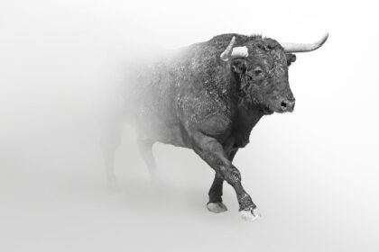 "In a scenario where Bitcoin reaches $300,000, ETH..."