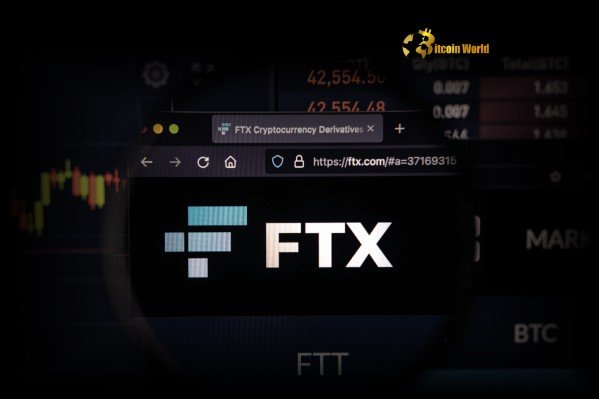 A shocking investigation reveals Bearish FTX Payouts View