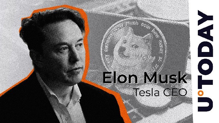 Is Elon Musk still a Dogecoin fan? Crypto Community flags rare crackdowns
