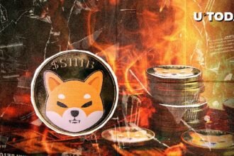 Sivburns crash despite the green market
