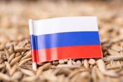 Russia is considering codes to settle grain exports