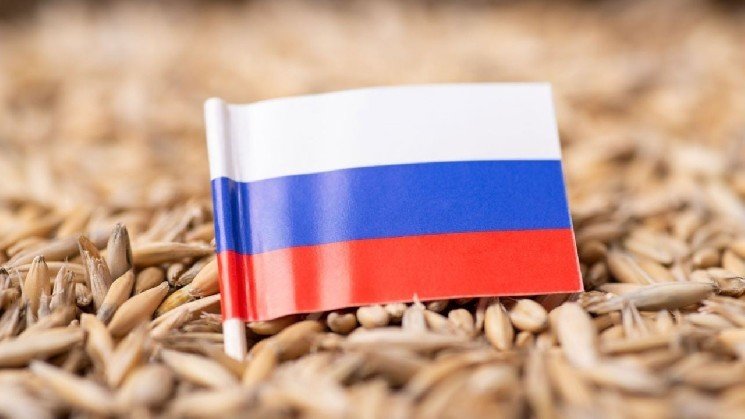 Russia is considering codes to settle grain exports