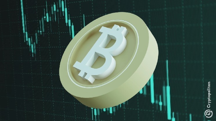 Another high lipid whale switches to a short BTC position