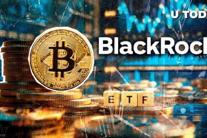 BlackRock's Bitcoin ETF just abdicated the S&P 500 Giant: What's going on?