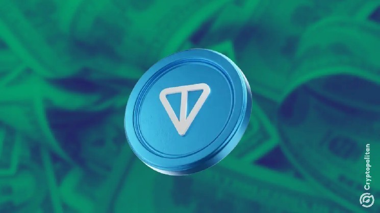 Ton is becoming one of the top chains of NFT activities