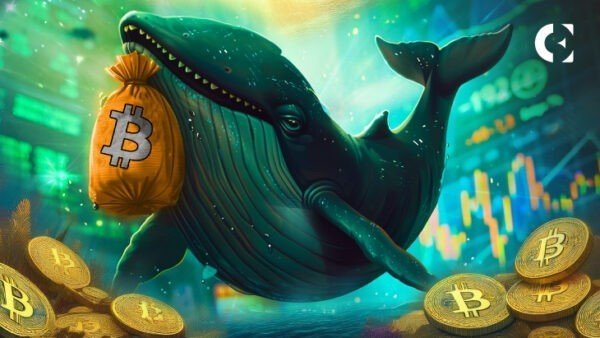 Bitcoin falls 5.5%, but purchases of facilities that exceed $1.3 billion will skyrocket