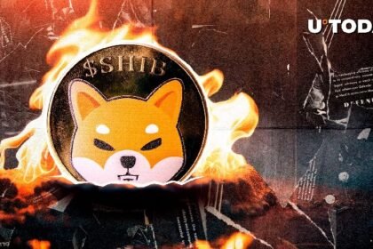 Shiba inu sky rockets with 5,223% burns as millions of Shib disappear.