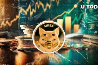 Shib reaches the highest ever with this key metric