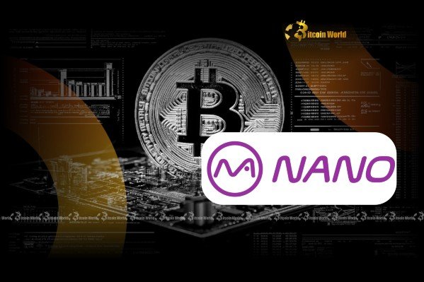 Increases BTC holdings to 1,000