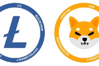 Shiba inu outperforms Litecoin in global crypto rankings with 2,866% spikes in burn rate