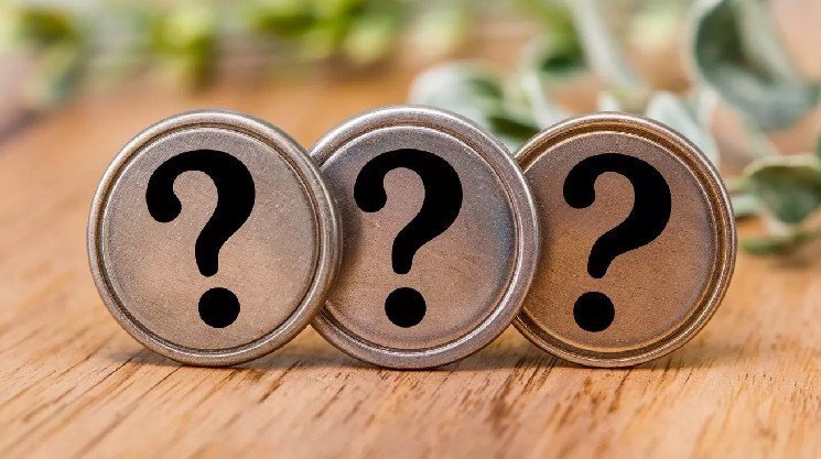 "These are the most talked about apart from Bitcoin (BTC)!"