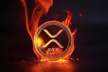 "XRP will reach $1,000 by 2030": Dom Kwok