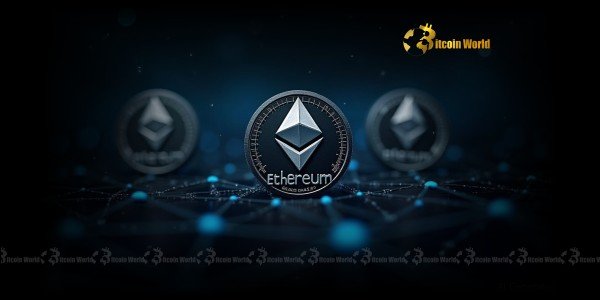 Over 108,000 Ethereum moved to exchange