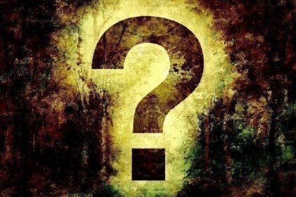 Here are the 10 real-world assets that developers are most concentrated: