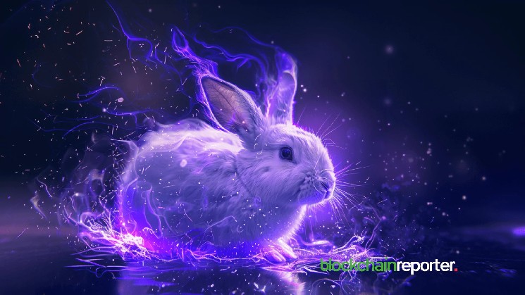 Rewards Bunny integrates with Aiden to revolutionize Web3 engagement