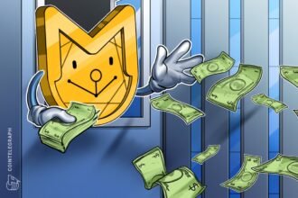 Memecoin $79B rally means capital can't go anywhere: exec