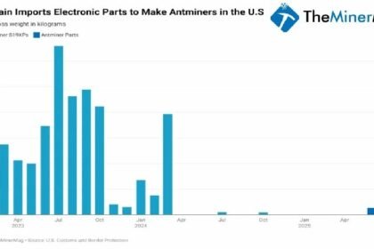 Bit Main Funnel 187 Ton Ant Minor Parts to Skirt Our Tax