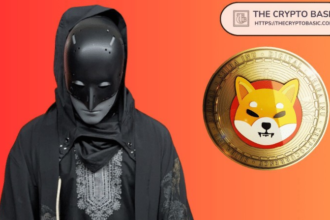 Shiba Inu's lead reveals strategic plans to ensure revenue surpasses usefulness in cryptocurrency success