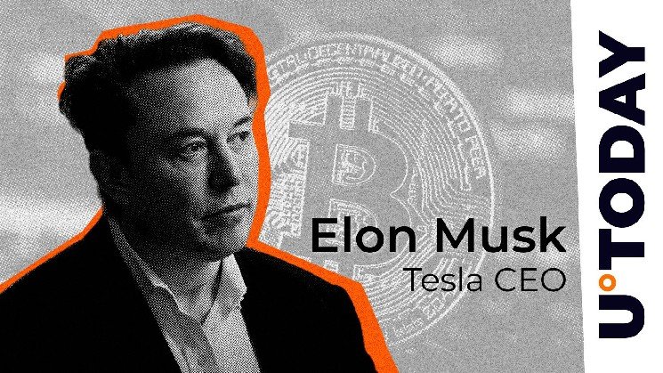 Did Elon Musk hint at buying Bitcoin "quietly"?