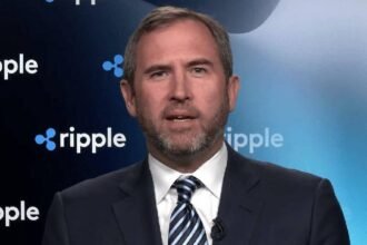 "The world will not transform into a structure dominated by cryptocurrency."