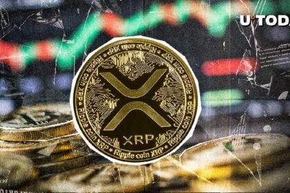 XRP $73 million was returned in minutes amid a sudden price reversal