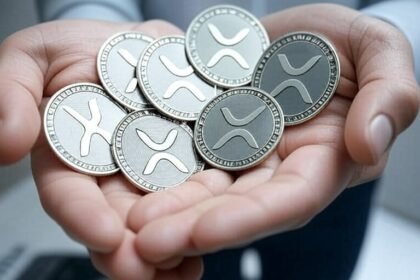 "XRP will ultimately have a green light with clear laws."