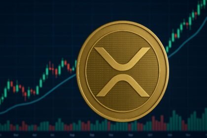 XRP receives important support