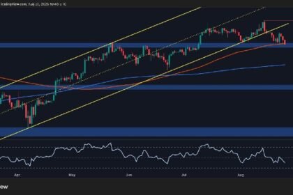 BTC at critical points of Bull Run continuation
