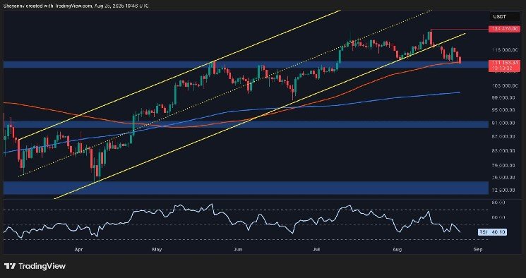 BTC at critical points of Bull Run continuation