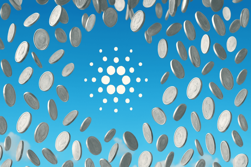 Ledger wallets interfere with airdrops driving by Cardano CEO