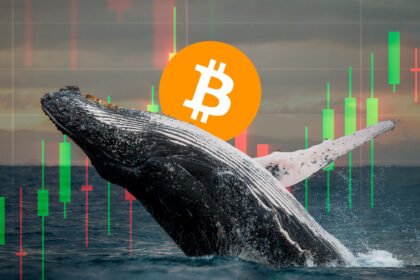 Binanance is becoming the "sea" of Bitcoin Dilla