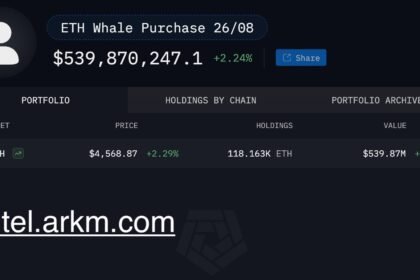 Ethereum Whale Portfolio