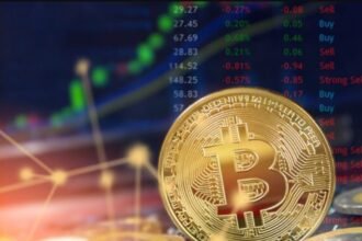 "I'm not joking if Bitcoin's bullish cycle is over": Carmelo German